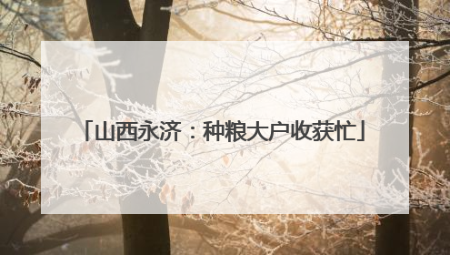 山西永济：种粮大户收获忙