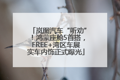 岚图汽车“听劝”！鸿蒙座舱5首搭，FREE+湾区车展实车内饰正式曝光