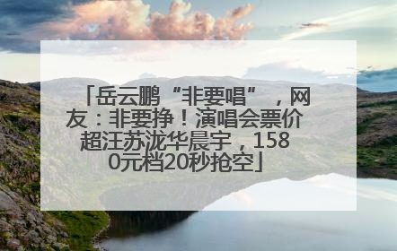 岳云鹏“非要唱”，网友：非要挣！演唱会票价超汪苏泷华晨宇，1580元档20秒抢空
