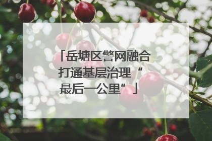 岳塘区警网融合 打通基层治理“最后一公里”