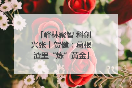 峰林聚智 科创兴张丨贺健：葛根渣里“炼”黄金