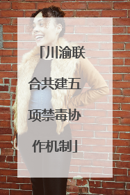川渝联合共建五项禁毒协作机制