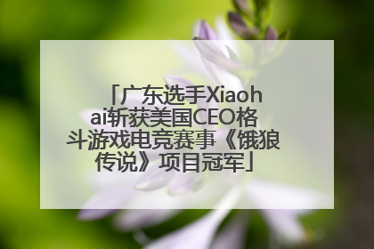 广东选手Xiaohai斩获美国CEO格斗游戏电竞赛事《饿狼传说》项目冠军