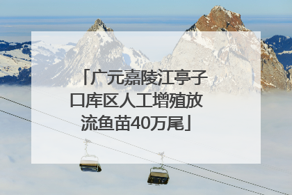 广元嘉陵江亭子口库区人工增殖放流鱼苗40万尾