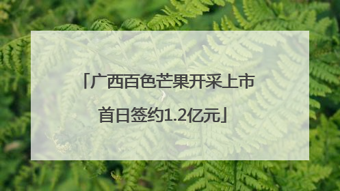 广西百色芒果开采上市 首日签约1.2亿元