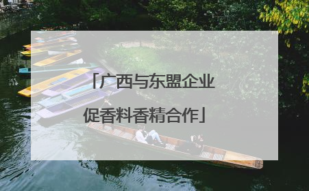 广西与东盟企业促香料香精合作