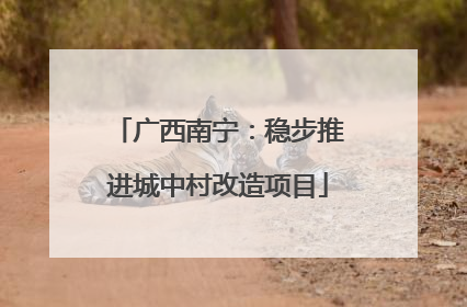 广西南宁：稳步推进城中村改造项目