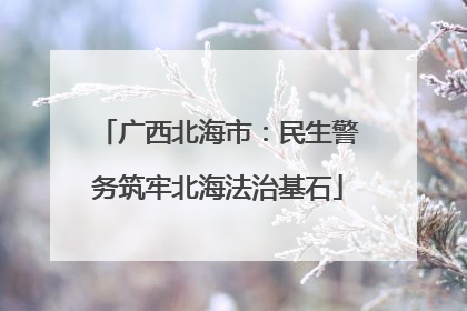 广西北海市：民生警务筑牢北海法治基石