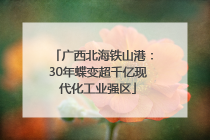 广西北海铁山港：30年蝶变超千亿现代化工业强区