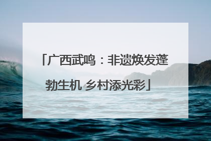 广西武鸣：非遗焕发蓬勃生机 乡村添光彩