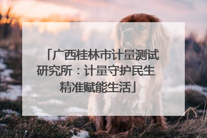 广西桂林市计量测试研究所：计量守护民生 精准赋能生活