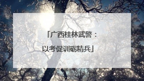 广西桂林武警：以考促训砺精兵