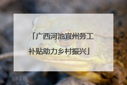 广西河池宜州务工补贴助力乡村振兴
