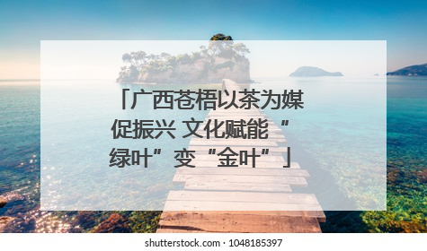 广西苍梧以茶为媒促振兴 文化赋能“绿叶”变“金叶”