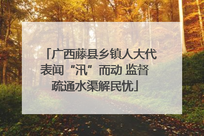 广西藤县乡镇人大代表闻“汛”而动 监督疏通水渠解民忧