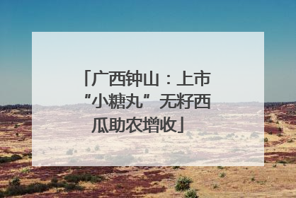 广西钟山：上市“小糖丸”无籽西瓜助农增收