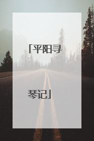 平阳寻琴记