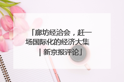 廊坊经洽会，赶一场国际化的经济大集｜新京报评论