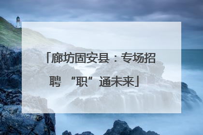 廊坊固安县：专场招聘 “职”通未来