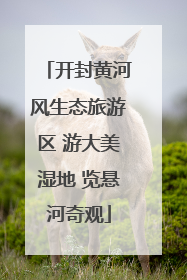 开封黄河风生态旅游区 游大美湿地 览悬河奇观