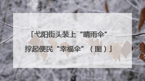 弋阳街头装上“晴雨伞” 撑起便民“幸福伞”（图）