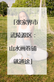 张家界市武陵源区：山水画卷铺就通途