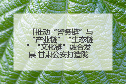 推动“警务链”与“产业链”“生态链”“文化链”融合发展 甘肃公安打造陇原旅游警务品牌