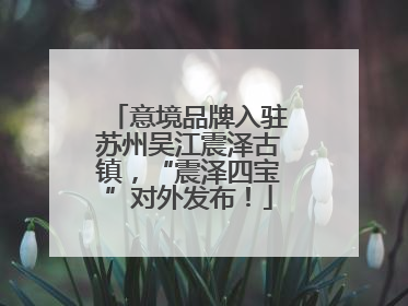 意境品牌入驻苏州吴江震泽古镇，“震泽四宝”对外发布！