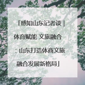 感知山东记者谈｜体育赋能 文旅融合：山东打造体商文旅融合发展新格局