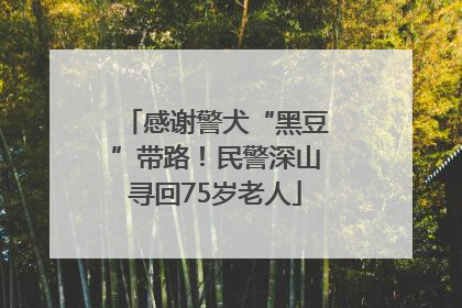 感谢警犬“黑豆”带路！民警深山寻回75岁老人