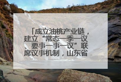 成立油桃产业链，建立“常态一季一议、要事一事一议”联席议事机制，山东省日照市莒县果庄镇——13个党小组“全周期”育果