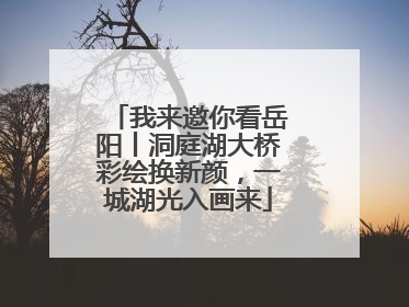 我来邀你看岳阳丨洞庭湖大桥彩绘换新颜，一城湖光入画来