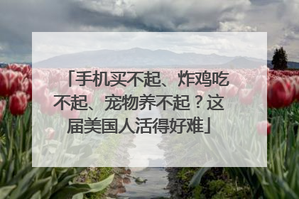 手机买不起、炸鸡吃不起、宠物养不起？这届美国人活得好难