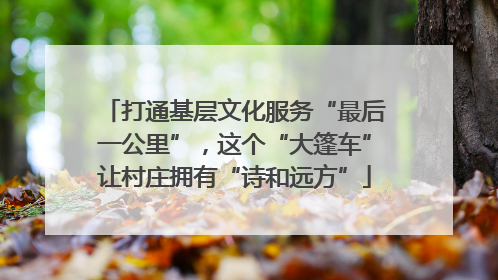 打通基层文化服务“最后一公里”，这个“大篷车”让村庄拥有“诗和远方”