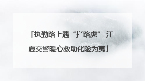 执勤路上遇“拦路虎” 江夏交警暖心救助化险为夷