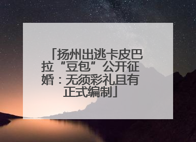 扬州出逃卡皮巴拉“豆包”公开征婚：无须彩礼且有正式编制