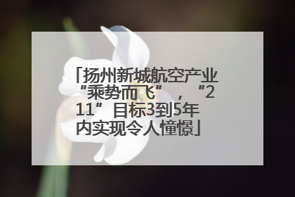 扬州新城航空产业“乘势而飞”，“211”目标3到5年内实现令人憧憬