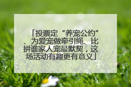 投票定“养宠公约”、为爱宠做牵引绳、比拼谁家人宠最默契，这场活动有趣更有意义