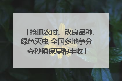 抢抓农时、改良品种、绿色灭虫 全国多地争分夺秒确保夏粮丰收