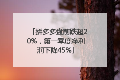 拼多多盘前跌超20%，第一季度净利润下降45%