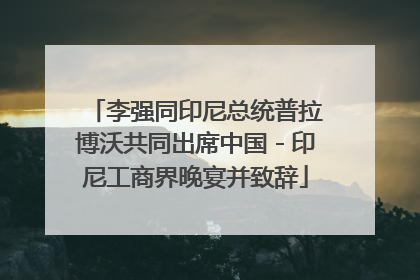 李强同印尼总统普拉博沃共同出席中国－印尼工商界晚宴并致辞