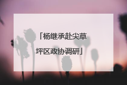 杨继承赴尖草坪区政协调研