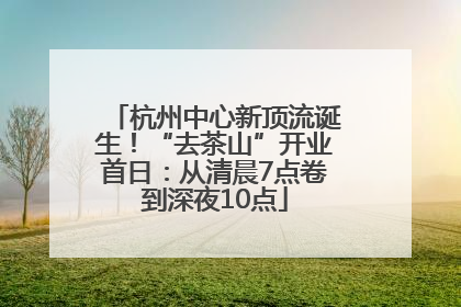 杭州中心新顶流诞生！“去茶山”开业首日：从清晨7点卷到深夜10点