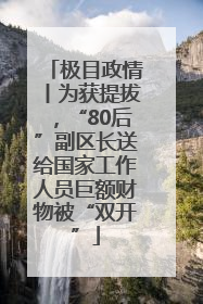 极目政情丨为获提拔，“80后”副区长送给国家工作人员巨额财物被“双开”