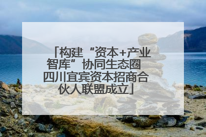 构建“资本+产业智库”协同生态圈 四川宜宾资本招商合伙人联盟成立