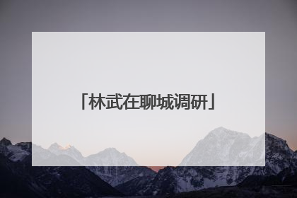 林武在聊城调研