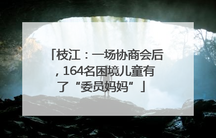 枝江：一场协商会后，164名困境儿童有了“委员妈妈”