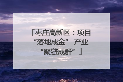 枣庄高新区：项目“落地成金” 产业“聚链成群”