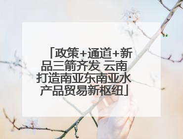 政策+通道+新品三箭齐发 云南打造南亚东南亚水产品贸易新枢纽