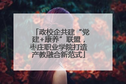 政校企共建“党建+康养”联盟，枣庄职业学院打造产教融合新范式